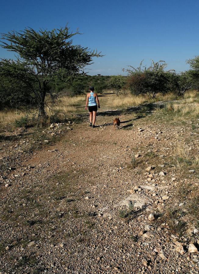 Etotongwe Lodge Outjo Buitenkant foto